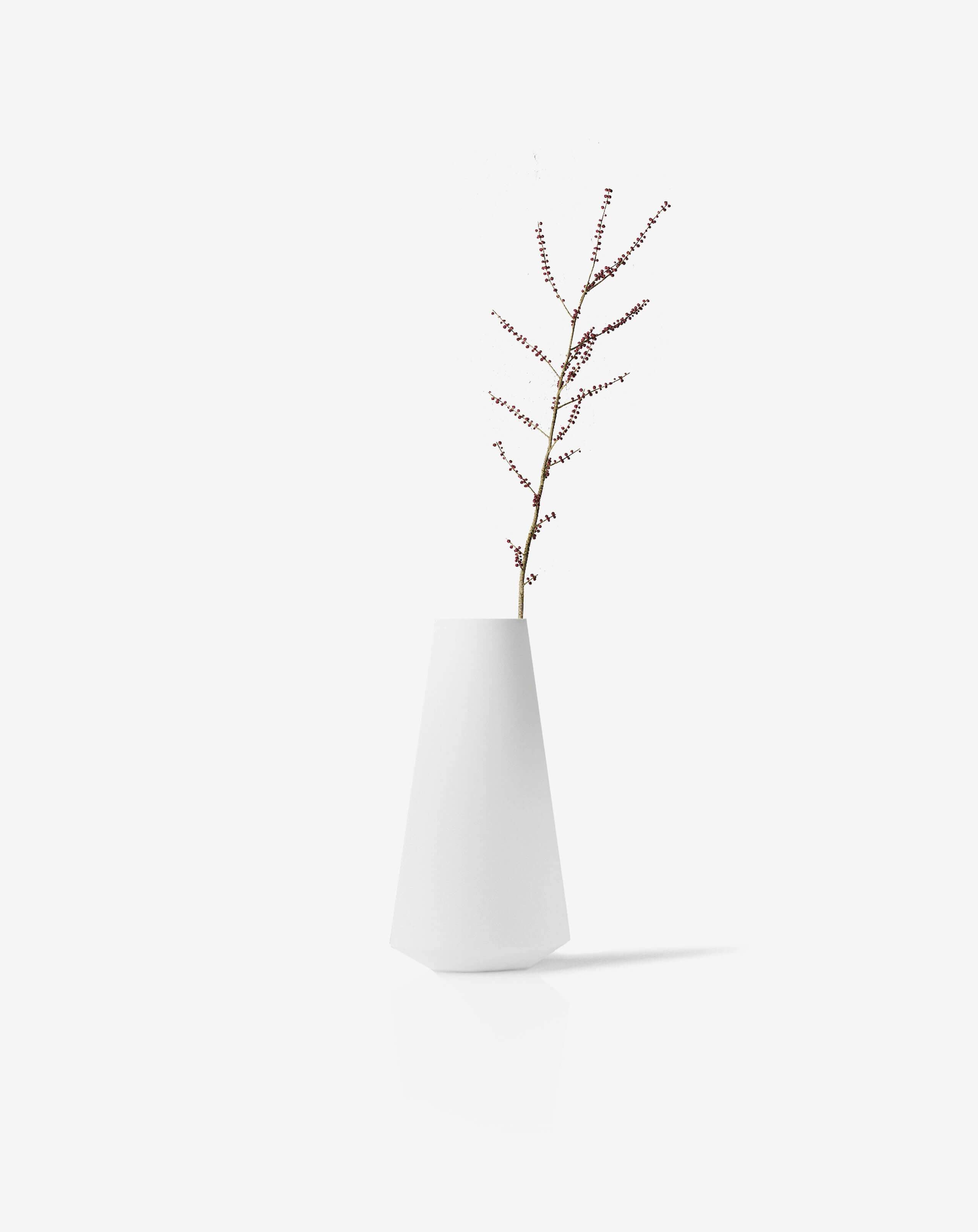 Bonsai desktop 12
