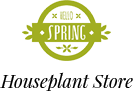 spring-dev2