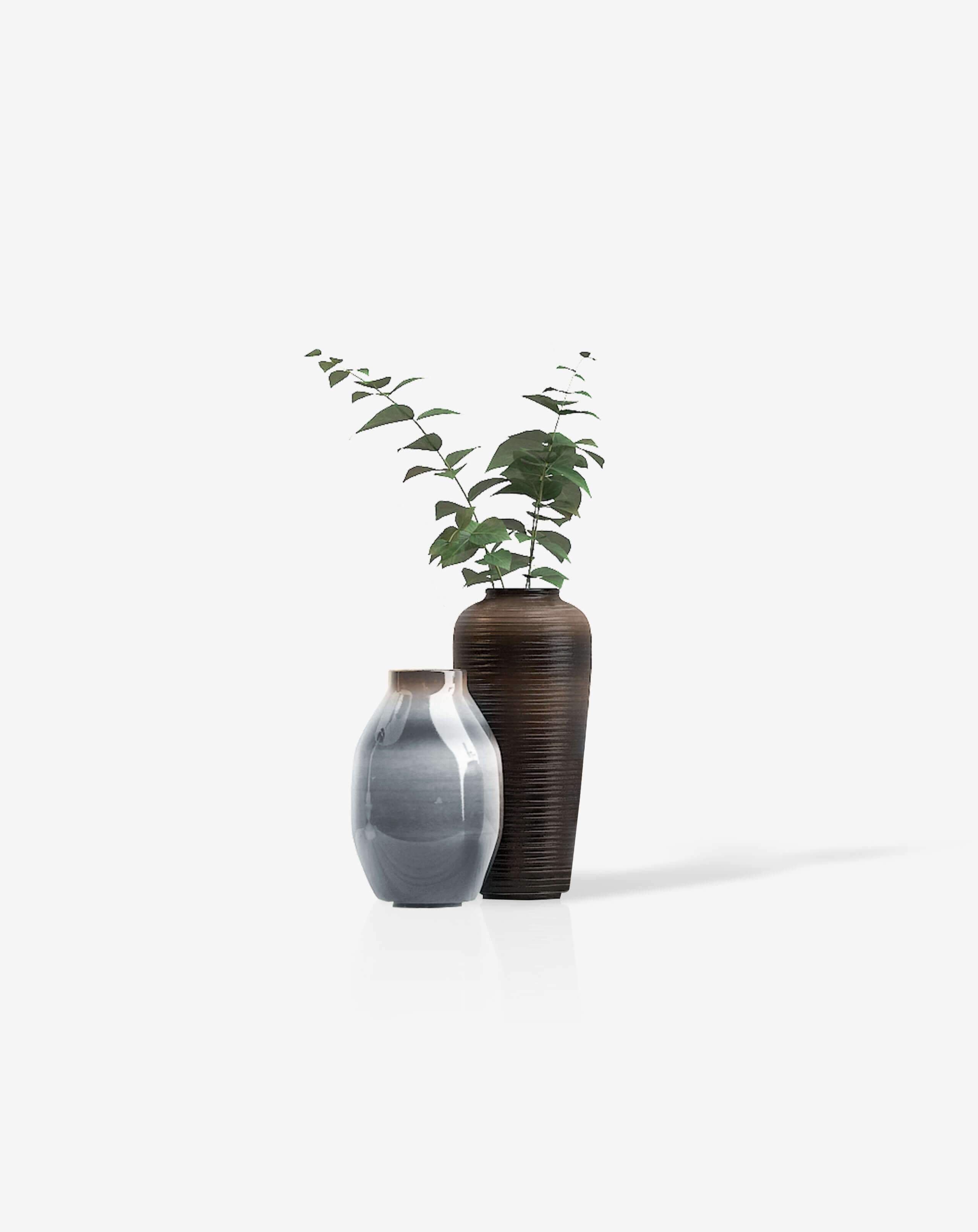 Bonsai desktop 2