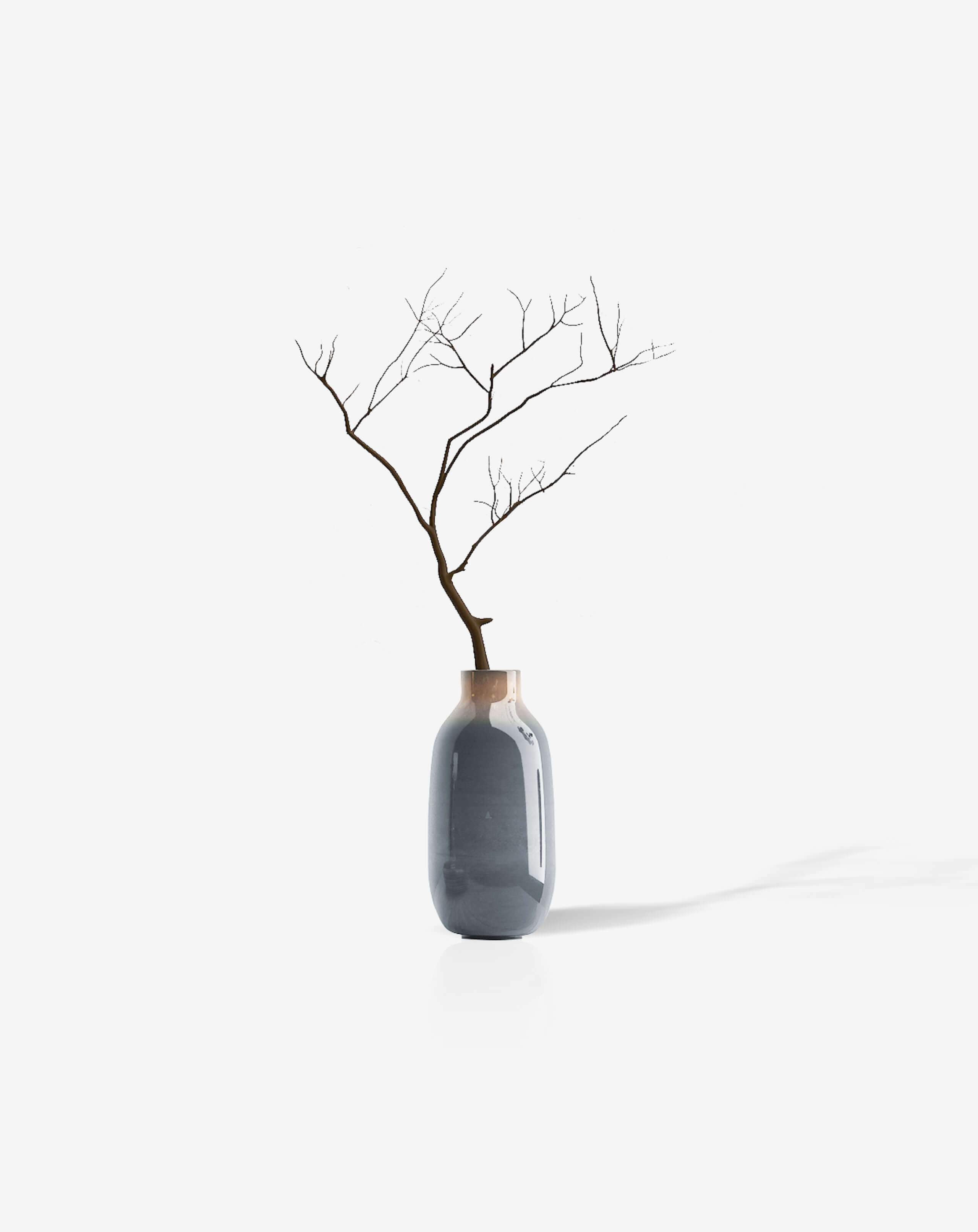 Bonsai desktop 2